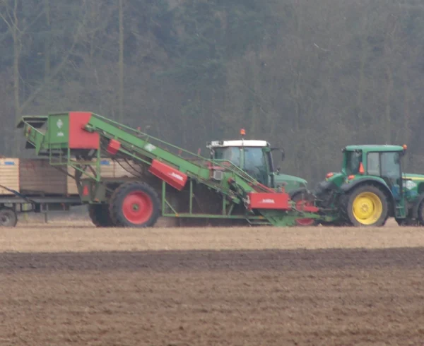 Agrea - Waarop letten bij nieuwe aanplant asperge?
